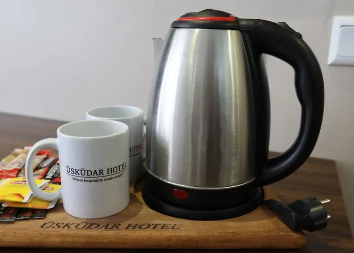 Ueskuedar Hotel Stambuł